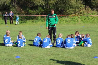 爱游戏娱乐网址-五大联赛是否提升边路轮换参与战术决策比重，五大联赛可以换5人