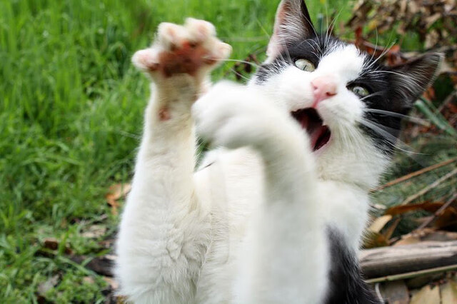 爱游戏综合娱乐-亚洲杯中国足球晋级 球迷信心倍增，亚洲杯足球2021中国晋级了吗