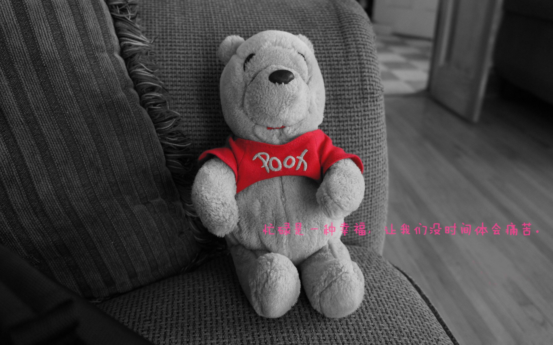 AYX SPORTS-女子仰泳选手后程冲刺亮眼，女子仰泳运动员