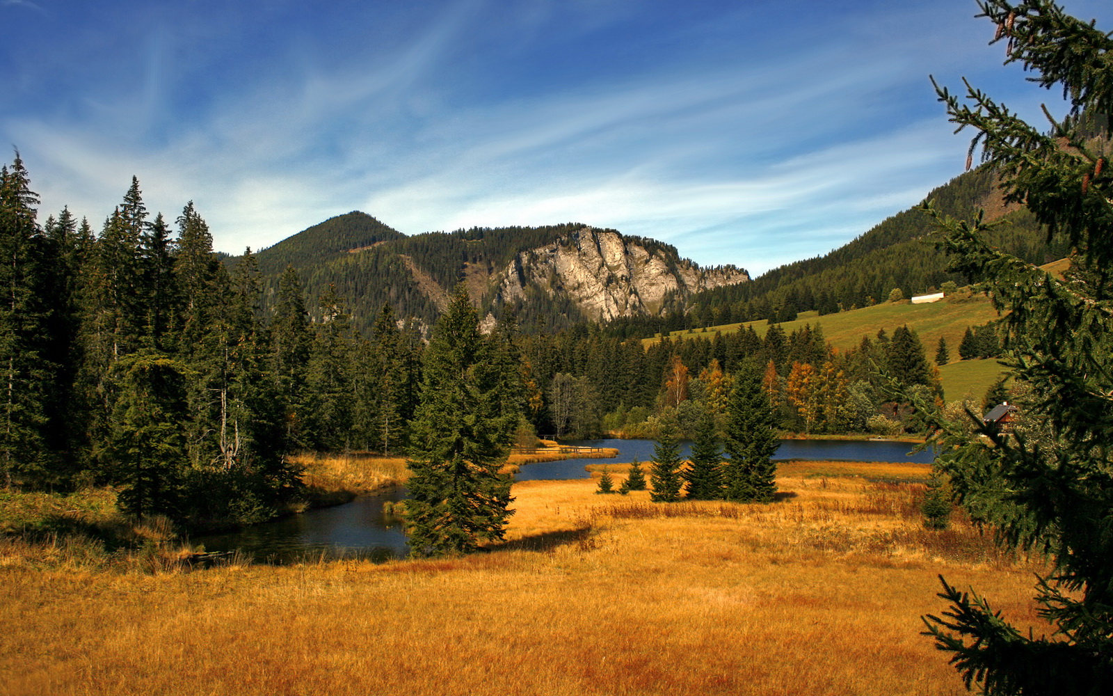 数据模型能否预判五大联赛赛季中段黑马走势,五大联赛大数据特性精细汇总