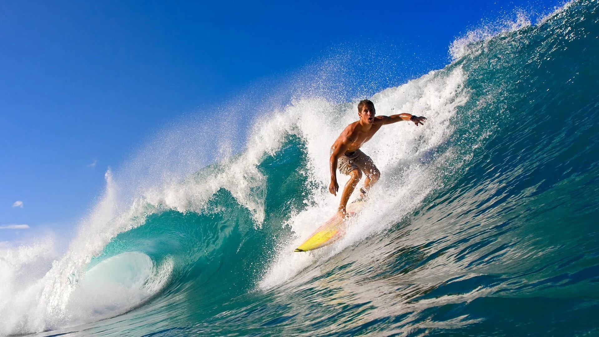 突尼斯希望替补后卫登场后表现不稳，突尼斯市