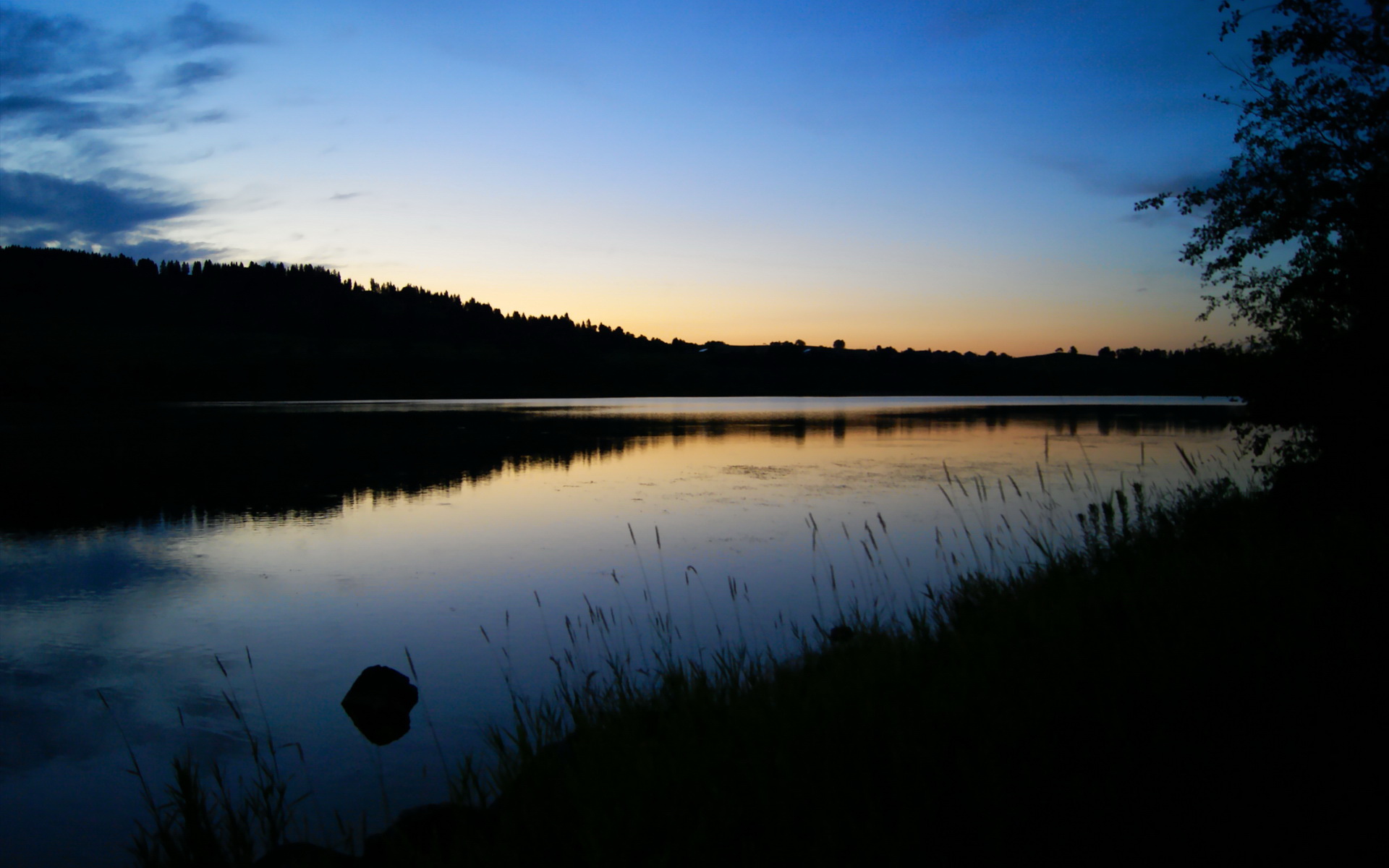 爱游戏体育-美国接力队再度夺魁 气势如虹，美国接力队成员4x100