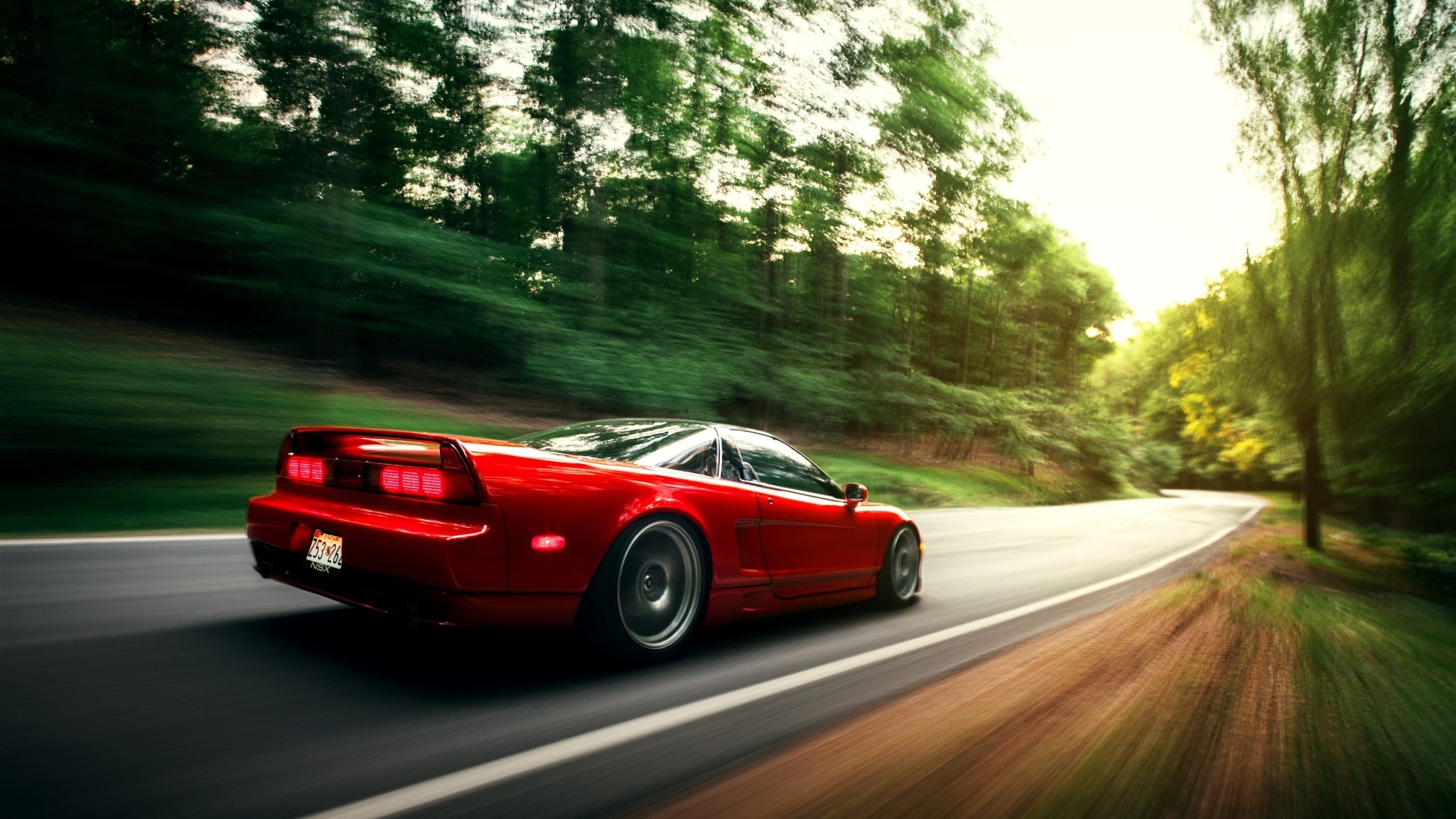 爱游戏在线登录入口-自由式滑雪国家队展开高原训练，自由式滑雪国家队展开高原训练是哪一年