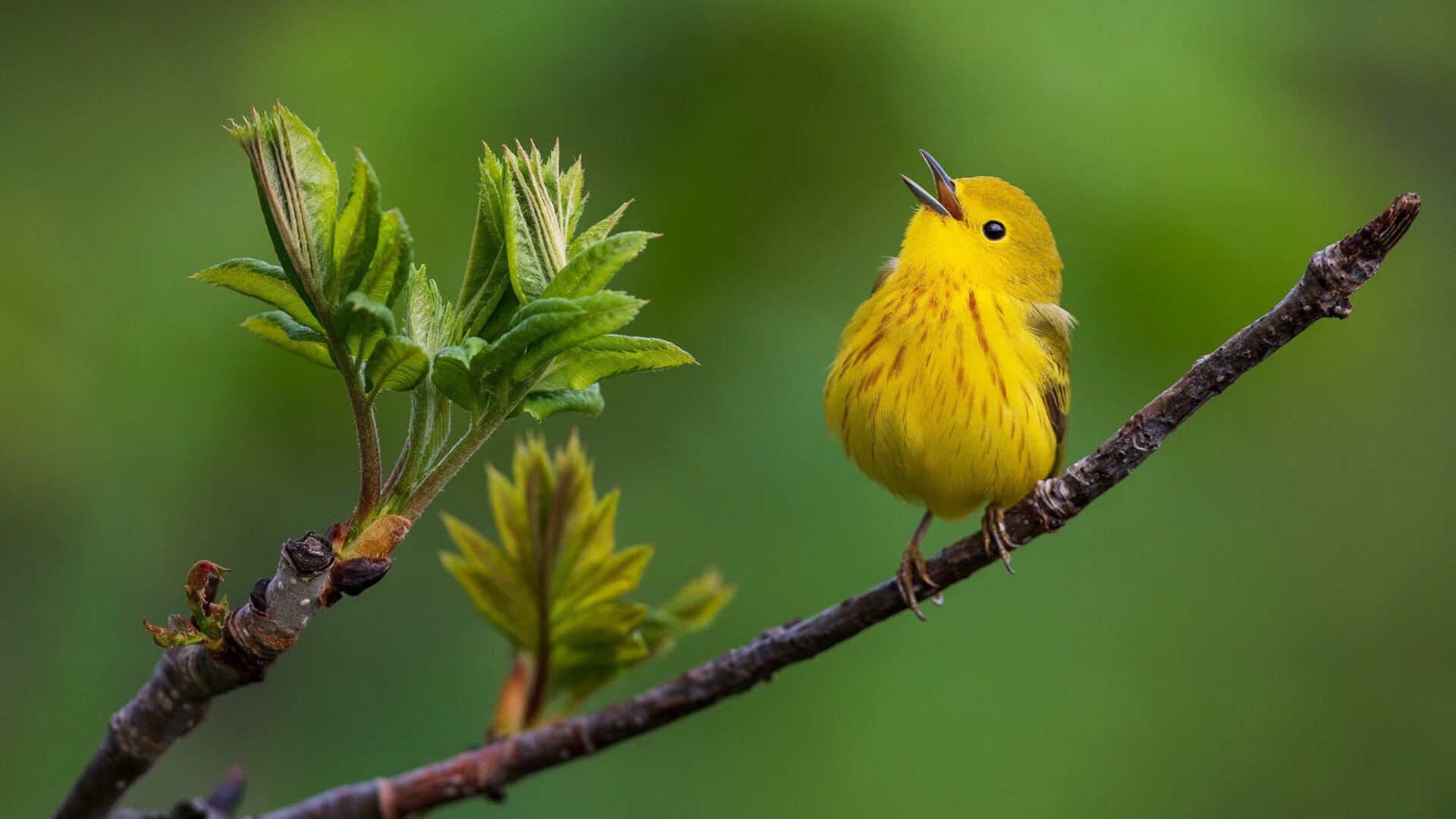 AIYOUXI.COM-中乙俱乐部推进球场改造工程提升比赛场地质量，中乙俱乐部靠什么赚钱