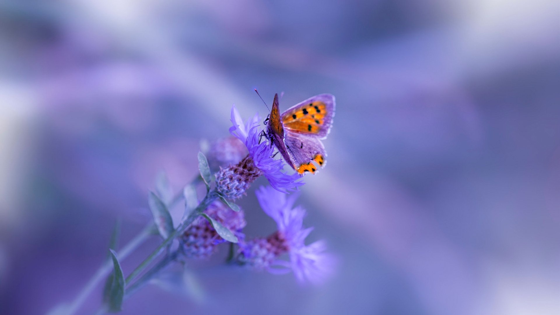 爱游戏平台-中国足球联赛赛季总结报告权威发布，中国足球2021赛季