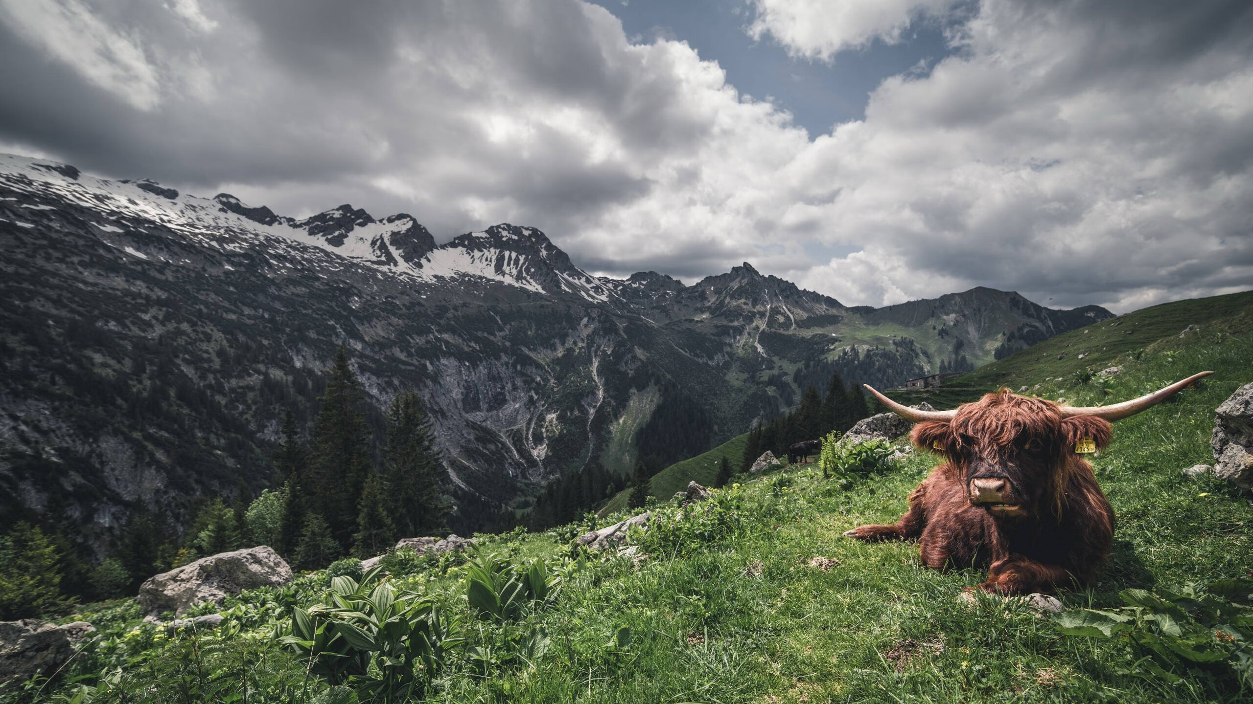 中超联赛中场传控率上升整体打法更具观赏性，中超转播计划2021