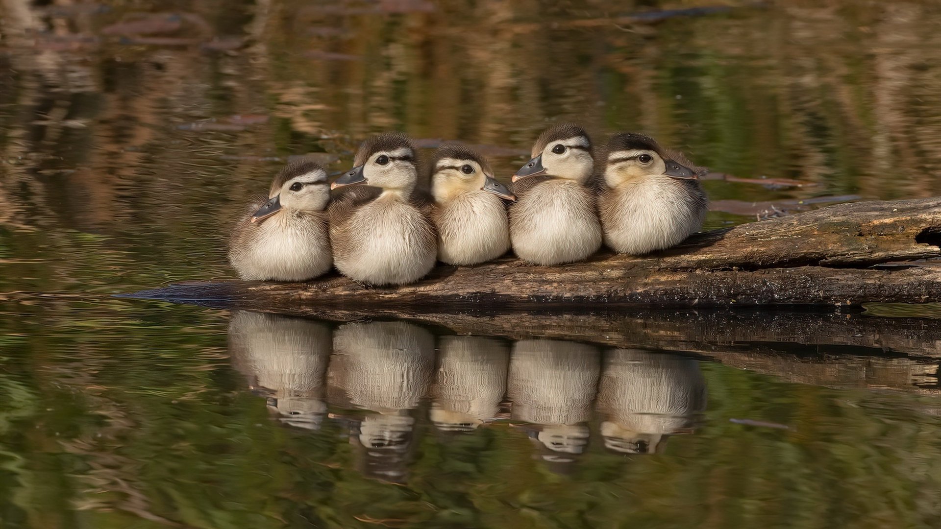 AYX GAME-体育公益项目持续扩大影响，体育方面的公益慈善活动