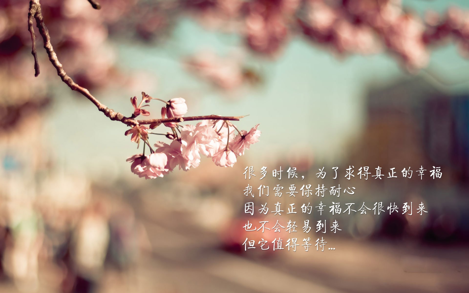 爱游戏体育（AYX）官方APP下载-国际3x3比赛城市站名单公布，街头篮球全球化加速，3on3街头篮球