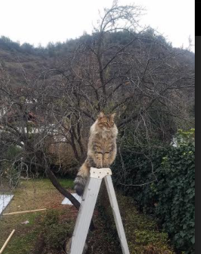 国际3x3比赛城市站名单公布，街头篮球全球化加速，3on3街头篮球