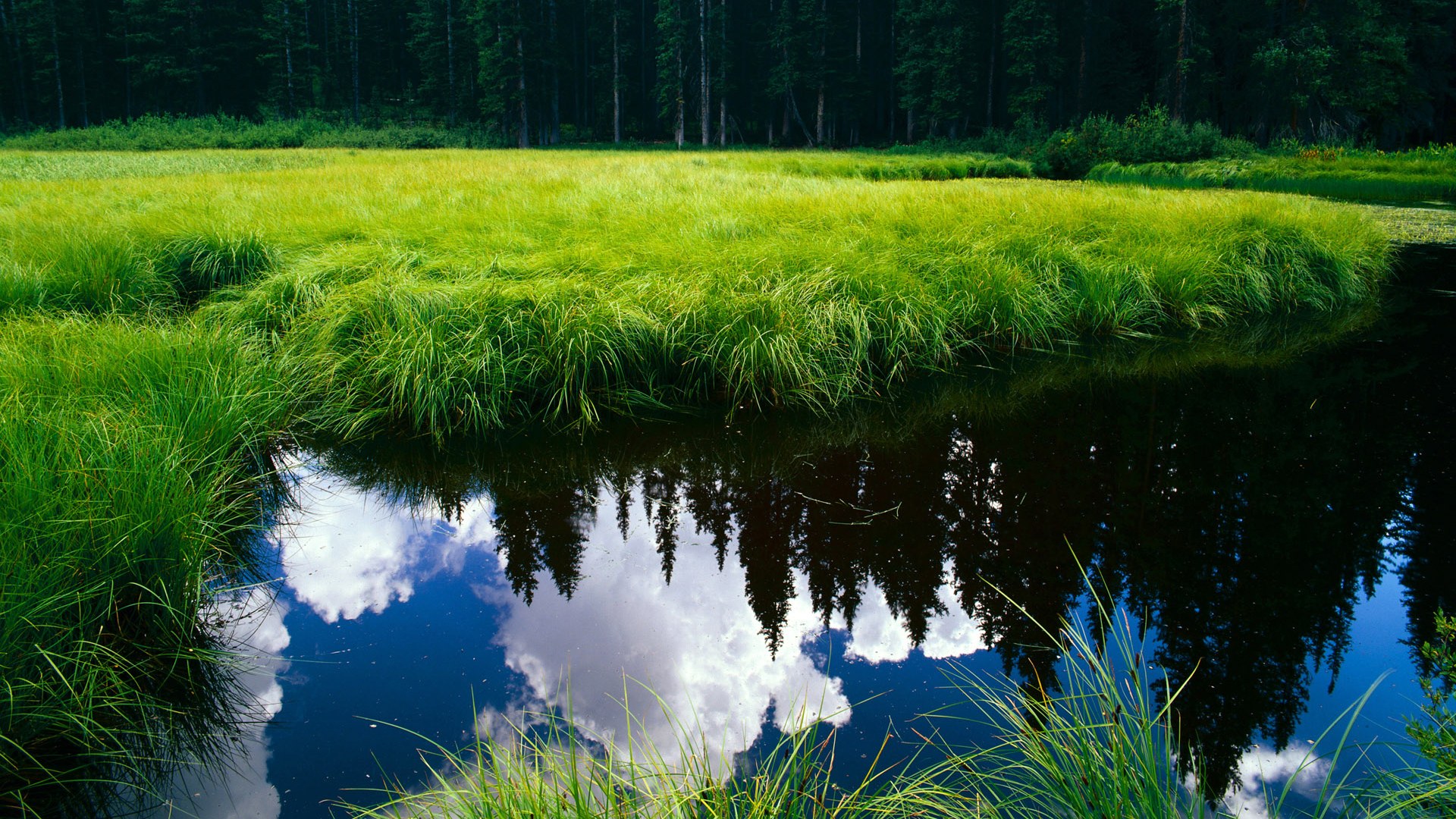 意甲精彩片段：每一次精彩都值得回味，意甲集锦视频