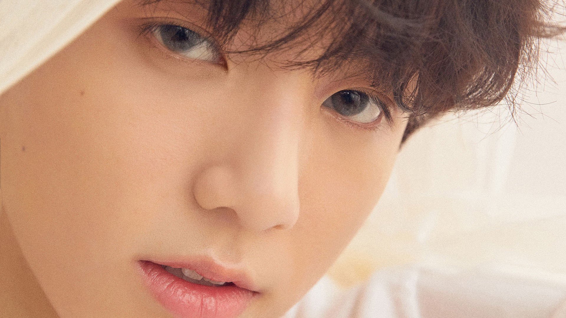 AYX官网-美洲杯明星盛放：激情与荣耀并行！，美洲杯巨星